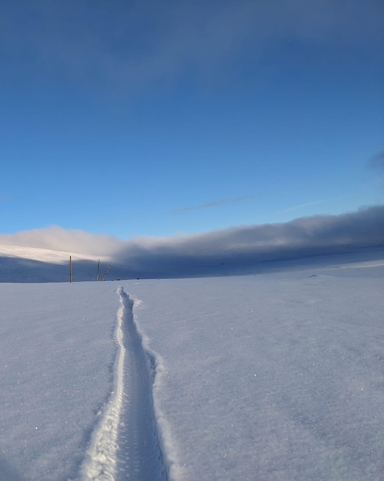 One tyre track and a very long way to go
