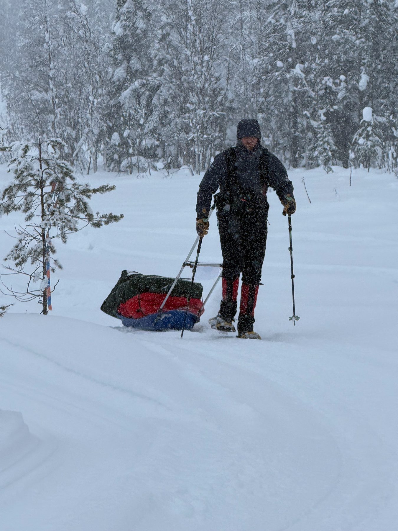 Rob hauling his sled through falling snow on the Lapland Arctic Ultra 2026